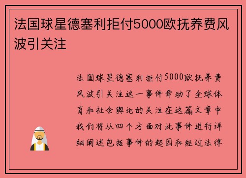 法国球星德塞利拒付5000欧抚养费风波引关注